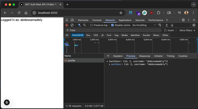 Chrome Developer Tools demonstrate a call to the API and show the user logged in.